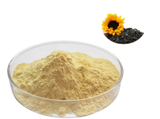 Bột nguyên chất hướng dương Lecithin